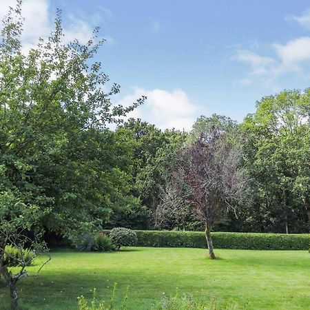 Woodland House B & B Wimborne Minster Ngoại thất bức ảnh