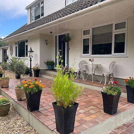 Woodland House B & B Wimborne Minster Ngoại thất bức ảnh