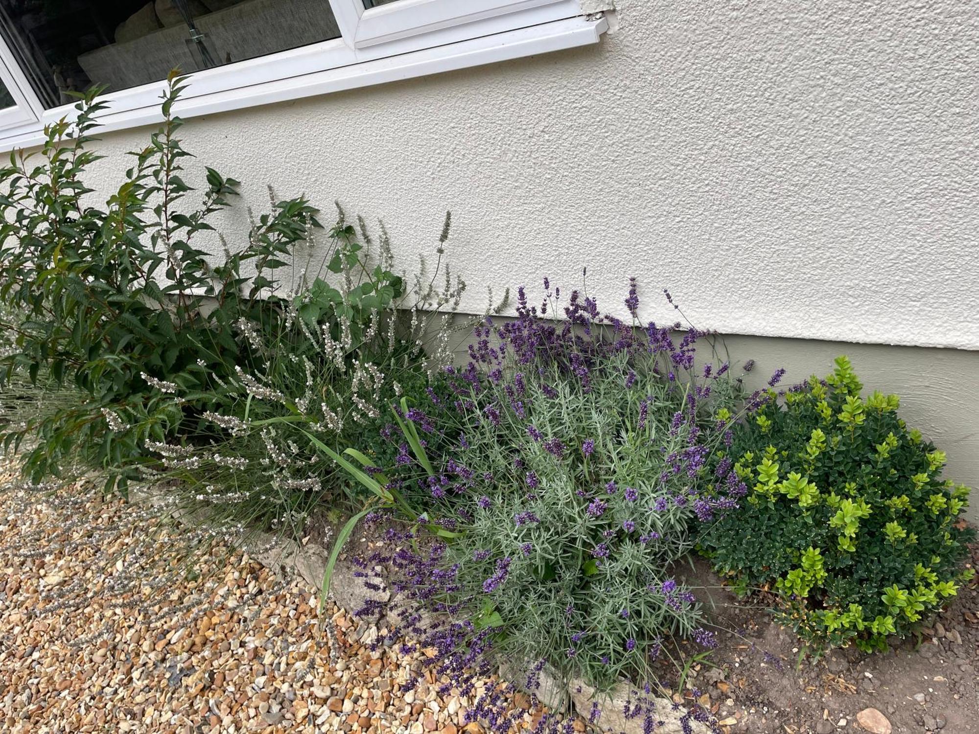 Woodland House B & B Wimborne Minster Ngoại thất bức ảnh