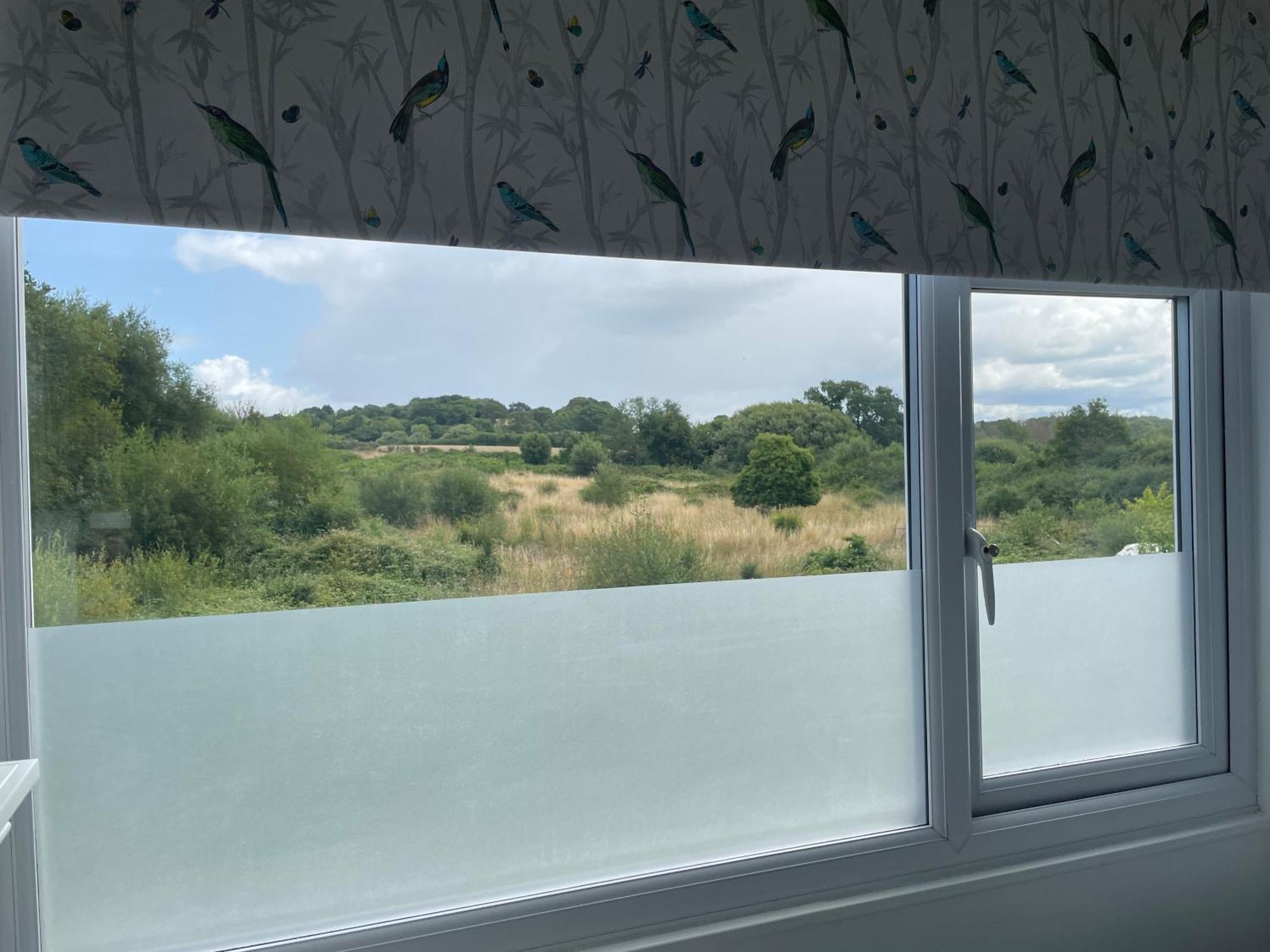 Woodland House B & B Wimborne Minster Ngoại thất bức ảnh