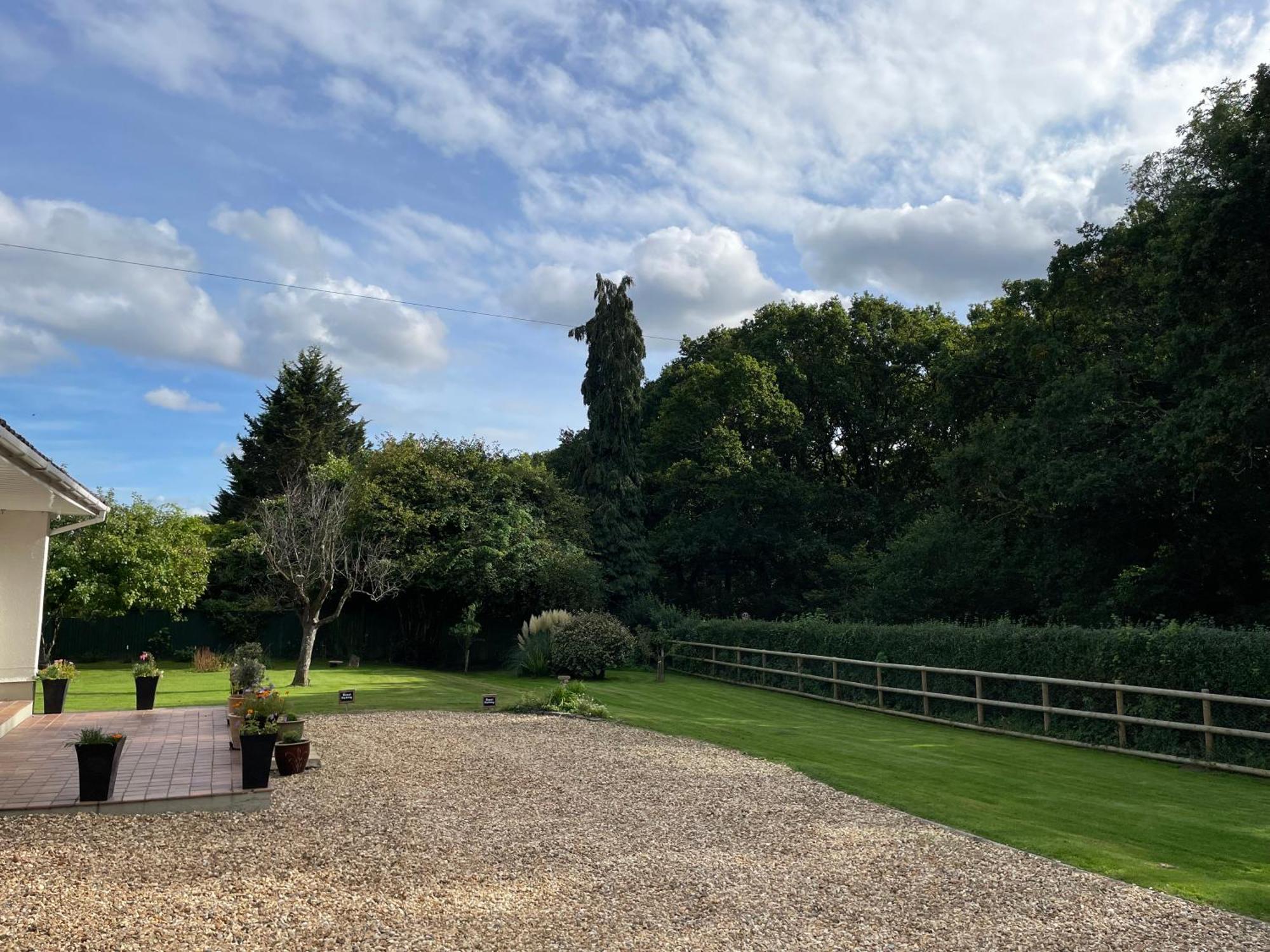 Woodland House B & B Wimborne Minster Ngoại thất bức ảnh