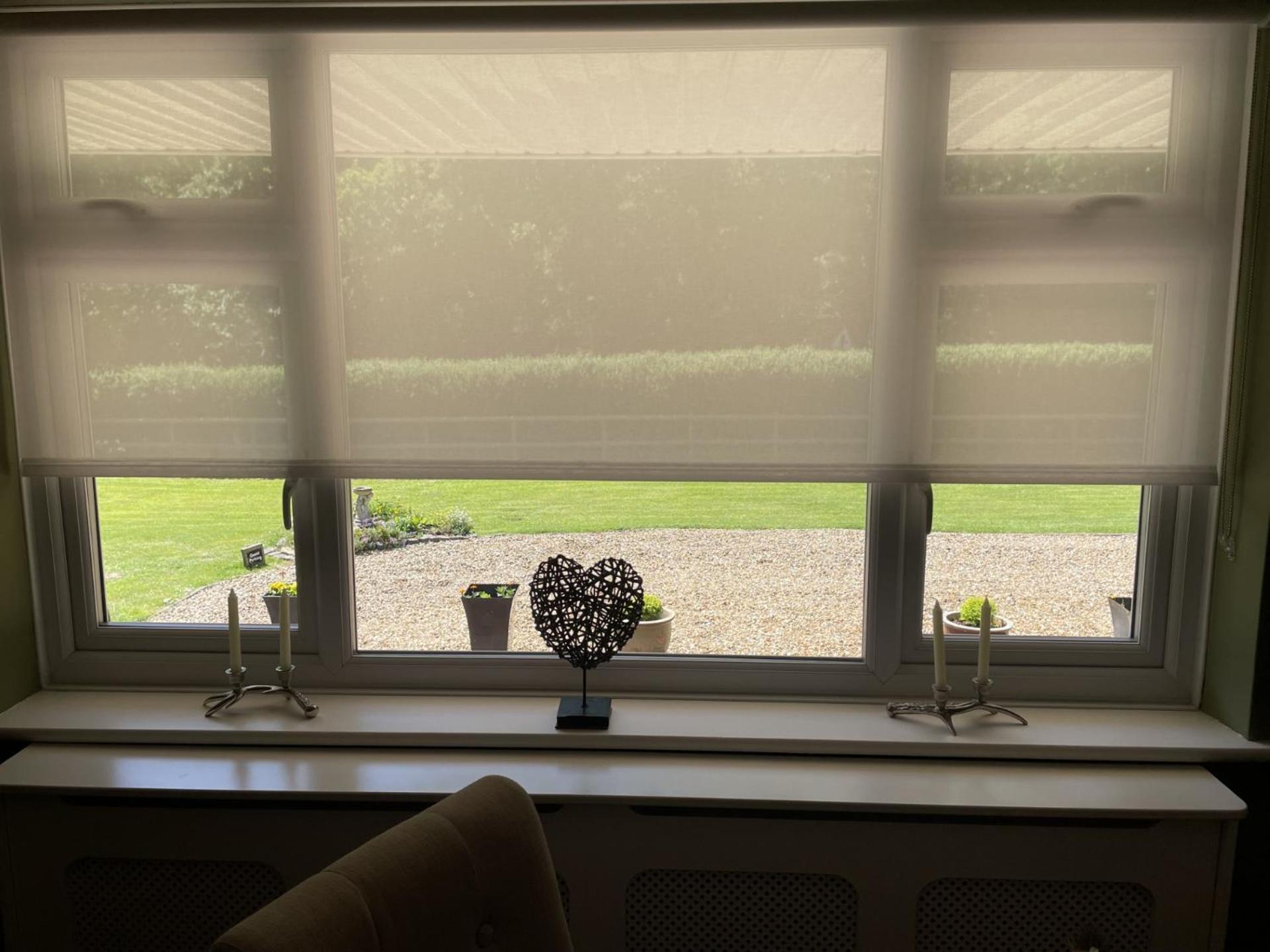 Woodland House B & B Wimborne Minster Ngoại thất bức ảnh